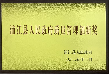 人民政府质量治理立异奖